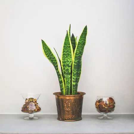 Mindful Atelier - Old Town コモ